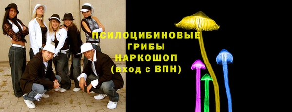 крисы Абаза