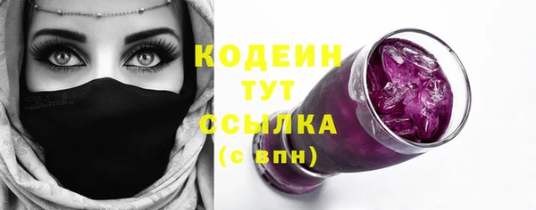 крисы Абаза