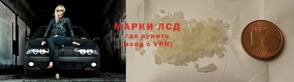 крисы Абаза