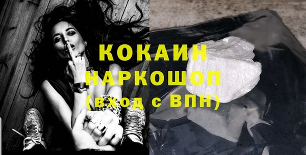 крисы Абаза