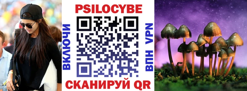 купить  цена  Саранск  Галлюциногенные грибы Magic Shrooms 