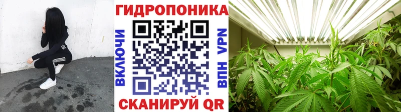 Каннабис конопля Саранск